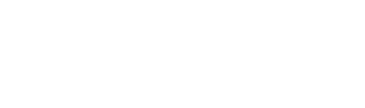 MSE